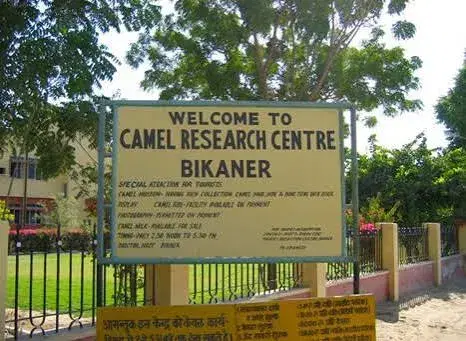 National Research Centre on Camel
