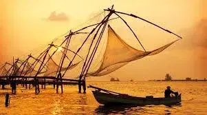 Chinese Fishing Nets