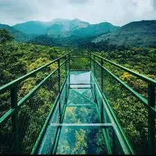 Glass Bridge 900 Kandi Wayanad
