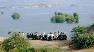 Jawai Leopard Safari