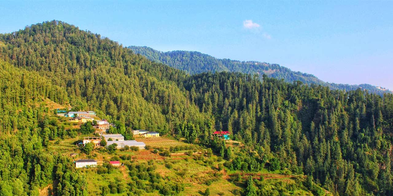 Mashobra