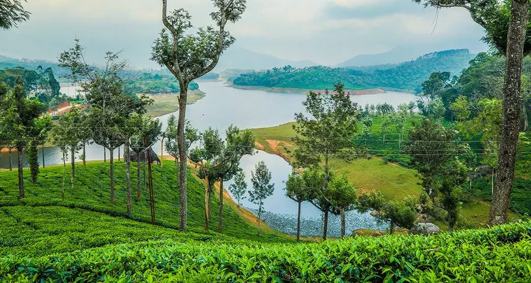 Mattupetty Dam