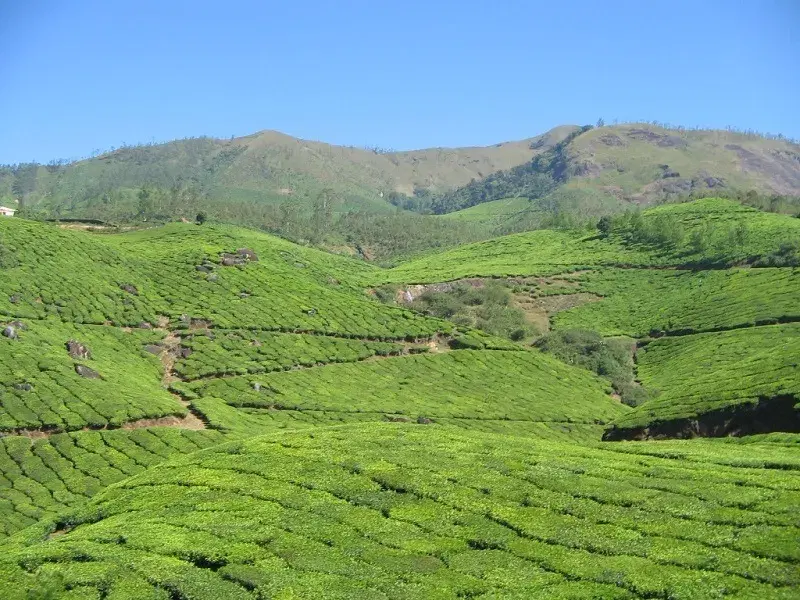 Photo Point Munnar