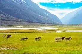 Suru Village
