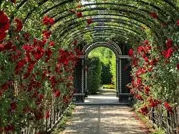 Rose Garden